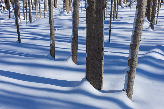 New Snow