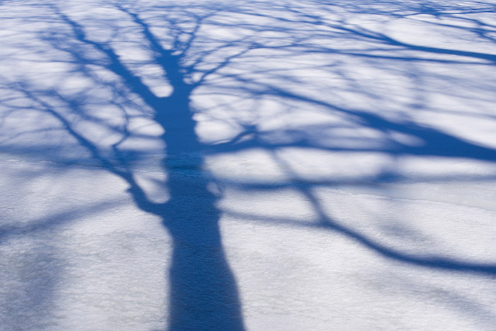 Snow Shadows