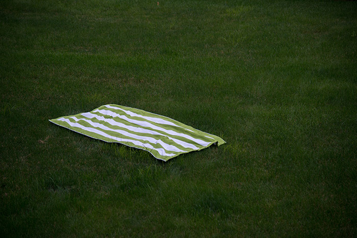 Beach Towel in the Grass