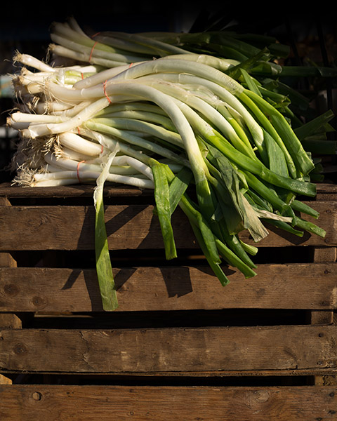 Union Square Farmer's Market #2
