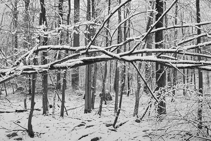 First Snow of the Season