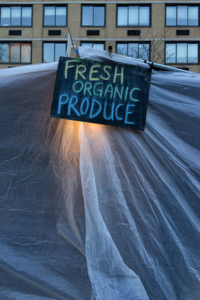 Fresh Organic Produce