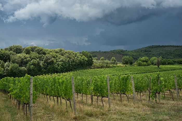 Tuscan Storm #1