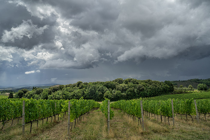 Incoming Storm, Tuscany