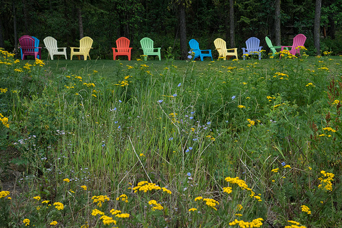 Wildflowers and Plastic Chairs