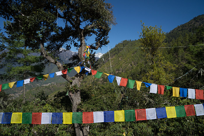 Prayer Flags, Paro, Bhutan
