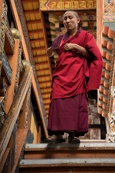 Monk on the Stairs, Punakha, Bhutan